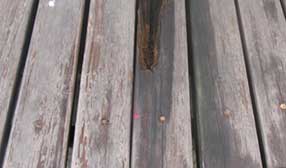 防腐木多少錢(qián)一立方